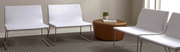 Philadelphia Commercial Carpet Review