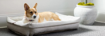 Shaw Pet Perfect Posh Life Collection