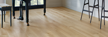 Palmetto Road Veranda Collection Asheville - Detailed Overview