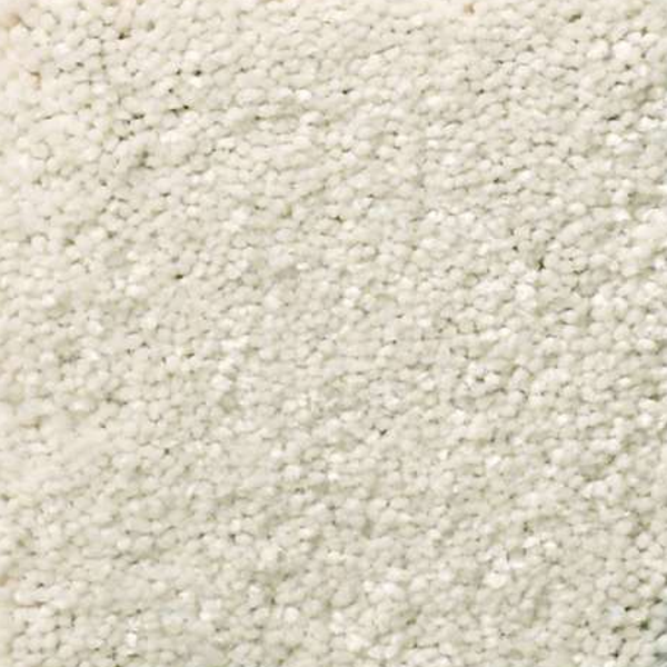 Shaw Floors Solidify I 15 Minimalist SHAW