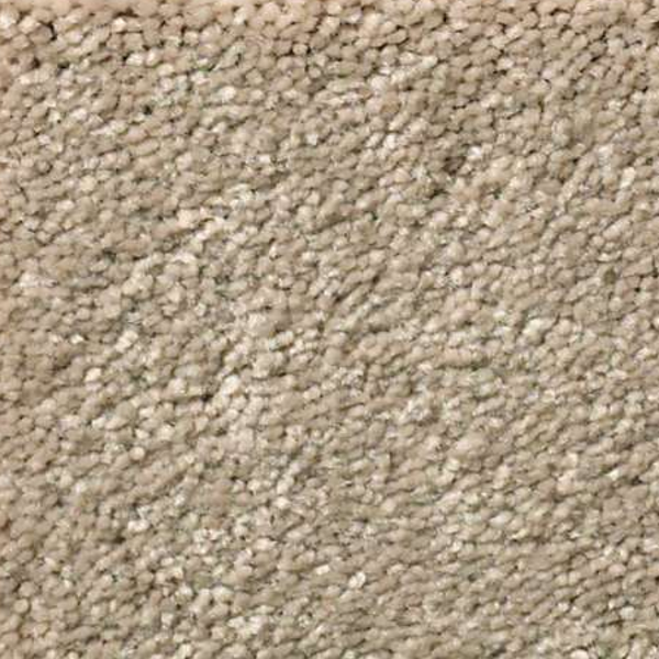 Shaw Floors Solidify I 15 Raw Lumber SHAW