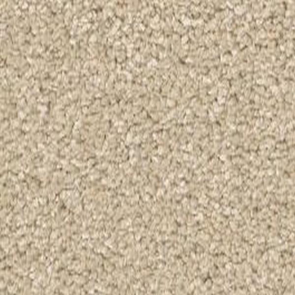 Shaw Floors Way To Go III Warm Breeze SHAW