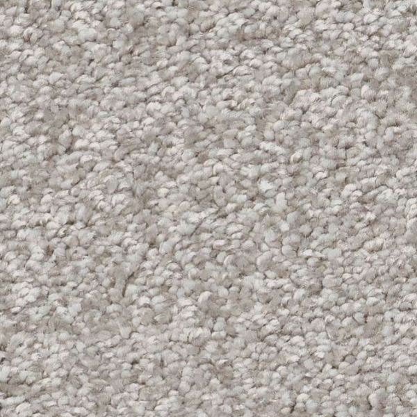 Shaw Floors You Got This III Frozen SHAW