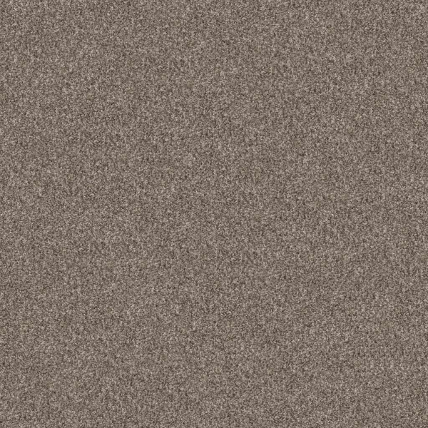 Shaw Floors Yes You Can III 12' Soft Sense SHAW