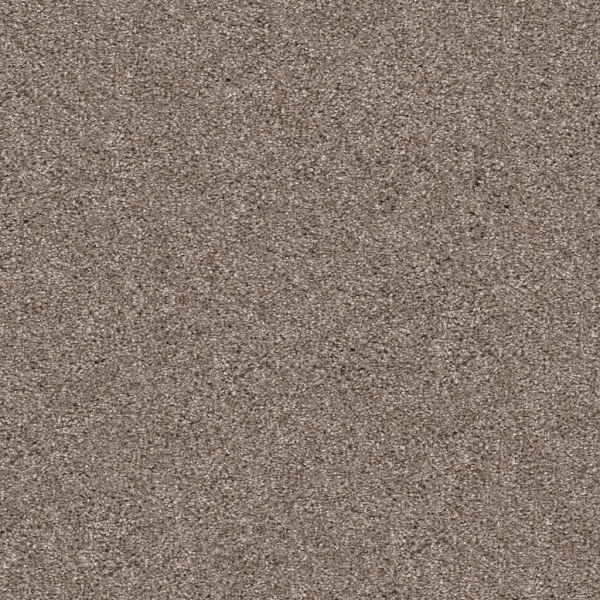Shaw Floors Yes You Can III 12' Cameo SHAW