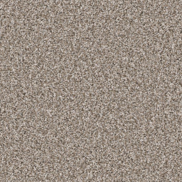 Shaw Floors Remixed Classic Pebble SHAW