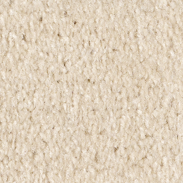 Shaw Floors Affirmed Wool Skin SHAW