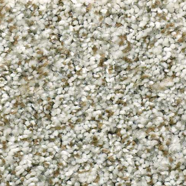 Shaw Floors Cabana Life Berber Winter SHAW