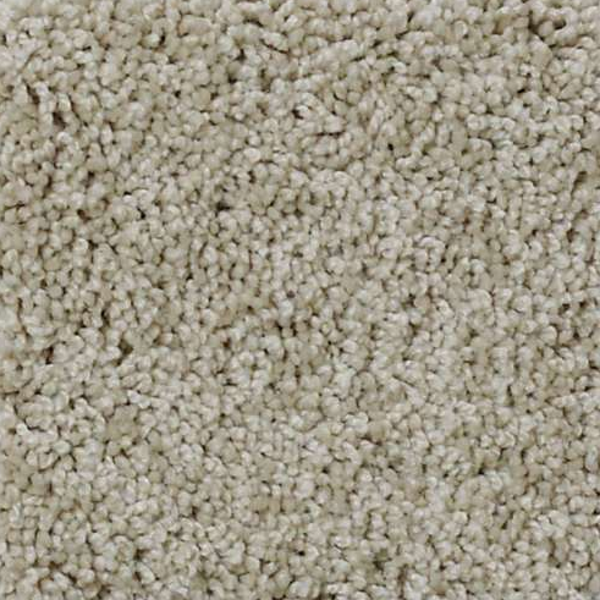 Shaw Floors My Choice III Bare Essence SHAW