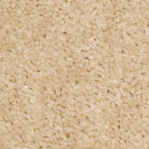 Shaw Floors Zipp Plus Sand SHAW