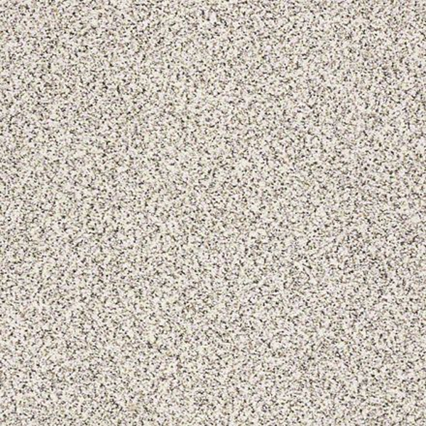 Shaw Floors Take The Floor Accent II Avalanche SHAW