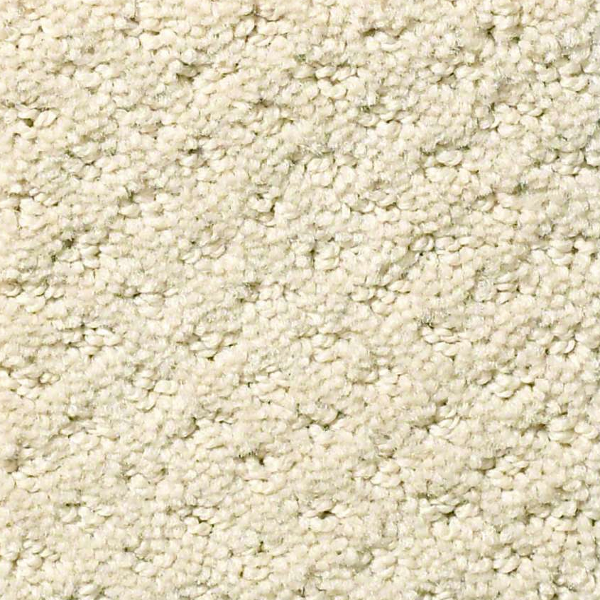 Shaw Floors Infallible Instinct Sentimental SHAW