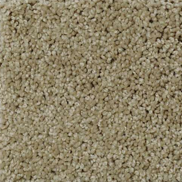 Shaw Floors Keen Senses II Safari SHAW