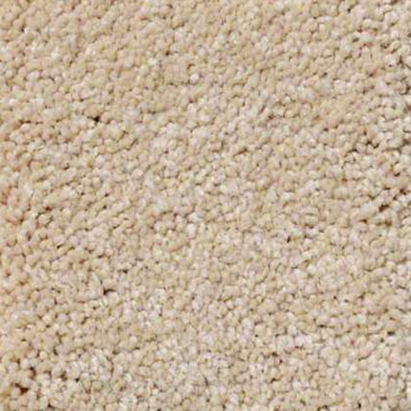 Shaw Floors Sandy Hollow Classic II Marzipan SHAW