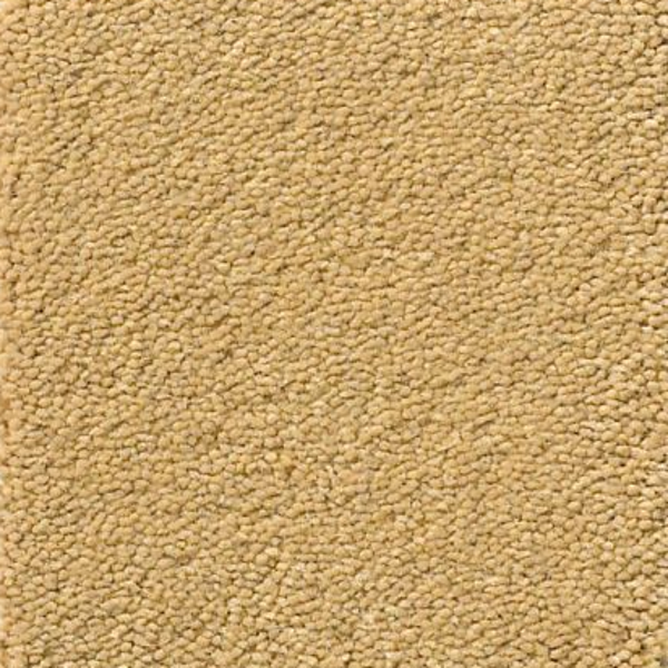 Tuftex Perfect Choice Tawny Bisque SHAW