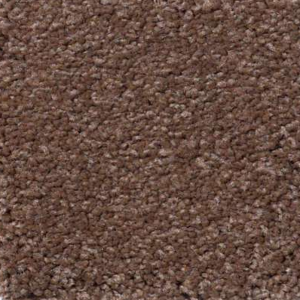 Shaw Floors Magic At Last I 15' Thoroughbred SHAW