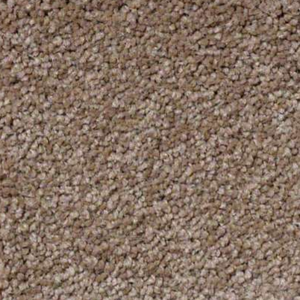 Shaw Floors Sandy Hollow Classic II Mojave SHAW
