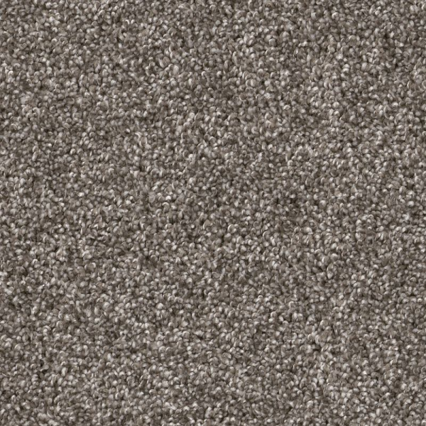 Shaw Floors Yes You Can II 12' Ashes SHAW