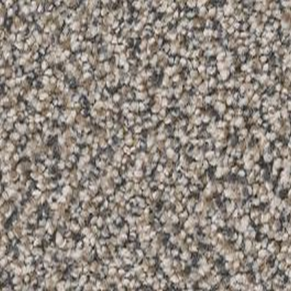 Shaw Floors True Spirit 15 Concrete SHAW