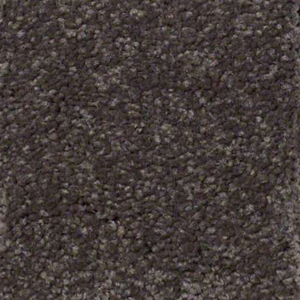 Shaw Floors Sandy Hollow Classic II Arrowhead SHAW
