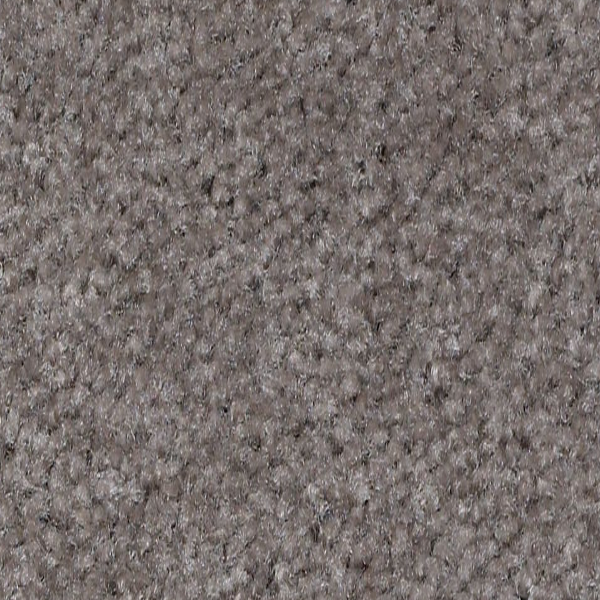Shaw Floors XV071 Castle Rock SHAW