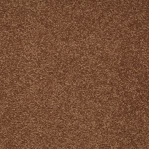 Shaw Floors Magic At Last II 12' Copper SHAW