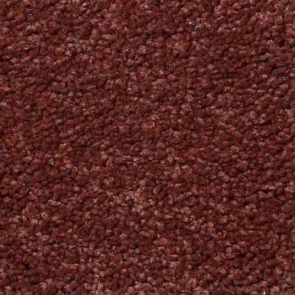 Shaw Floors Magic At Last I 12' Spice SHAW