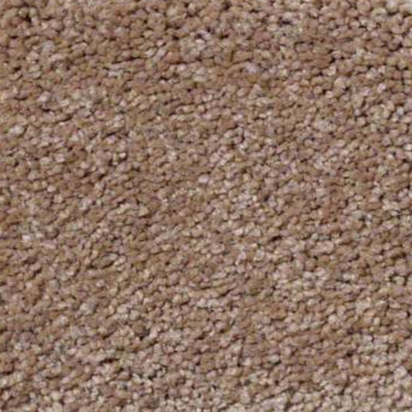 Shaw Floors Sandy Hollow Classic II Muffin SHAW