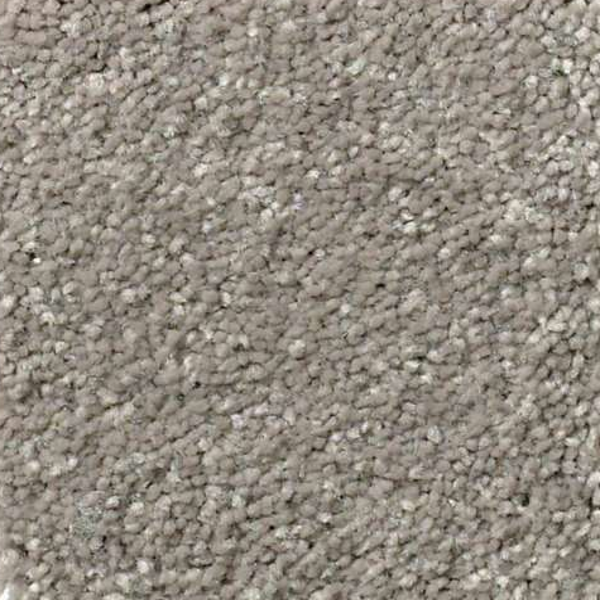 Shaw Floors Solidify I 15 Tree Bark SHAW