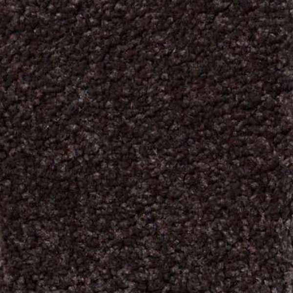 Shaw Floors Magic At Last I 15' Dark Chocolate SHAW