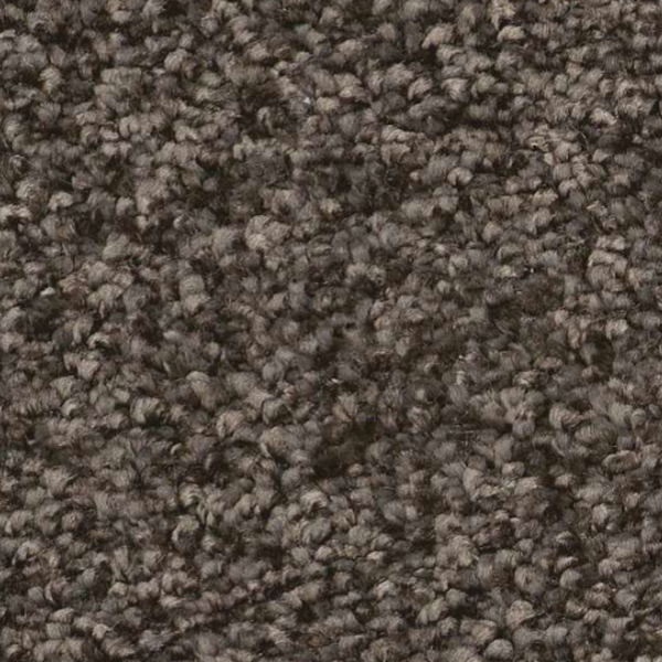 Shaw Floors You Got This I Urban Rustic SHAW
