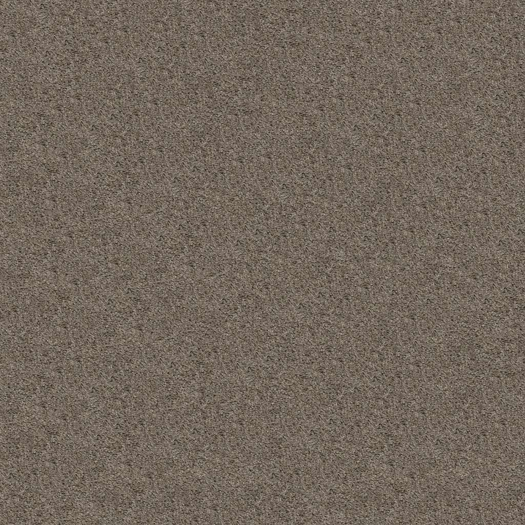 Shaw Floors Shake It Up (S) Forever Pewter SHAW