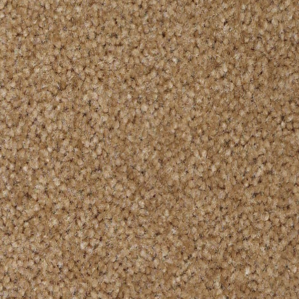 Shaw Floors XV071 Mink SHAW