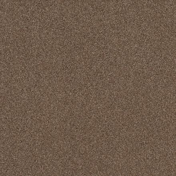 Tuftex Cozy Harbor II Raw Good SHAW