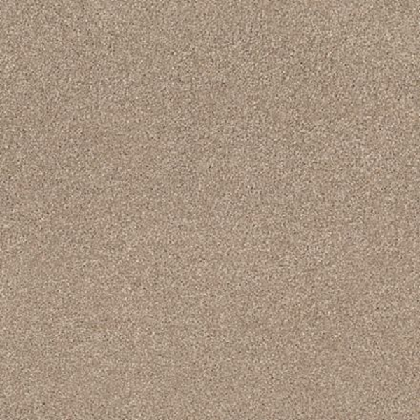 Tuftex Cozy Harbor II Natural Beauty SHAW