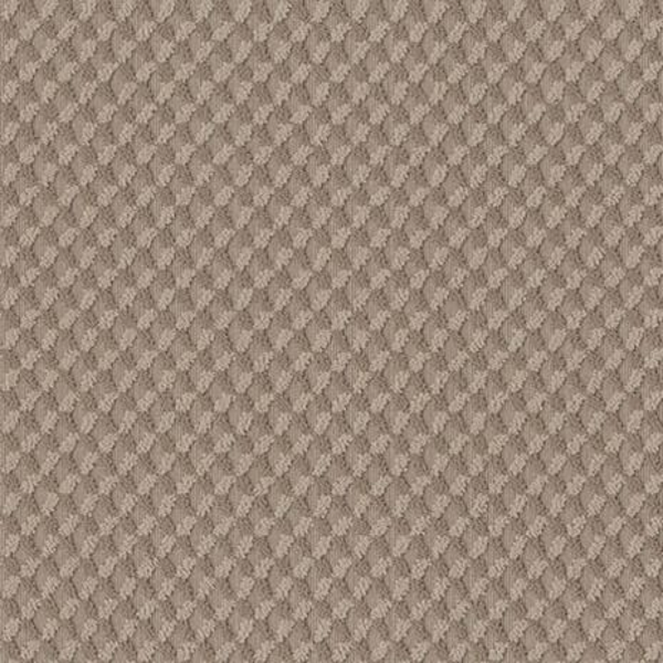 Tuftex Inspired Design Tumbleweed SHAW