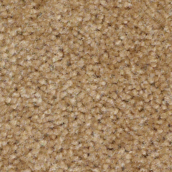 Shaw Floors QS112 Pinecone SHAW