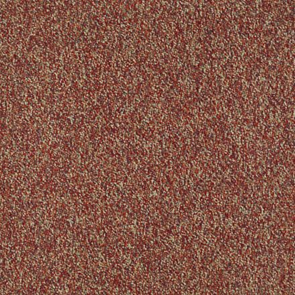 Shaw Floors Invincible 28 Raisinberry SHAW