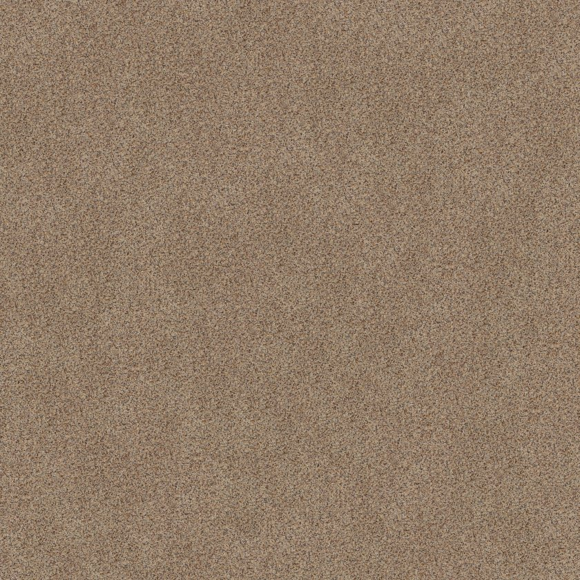 Shaw Floors Canyon Lake Crushed Pearl SHAW