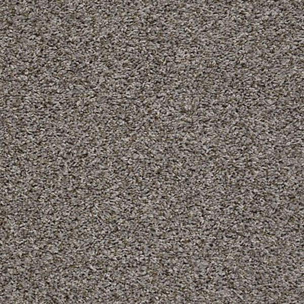 Shaw Floors Sensational Light Ashe SHAW