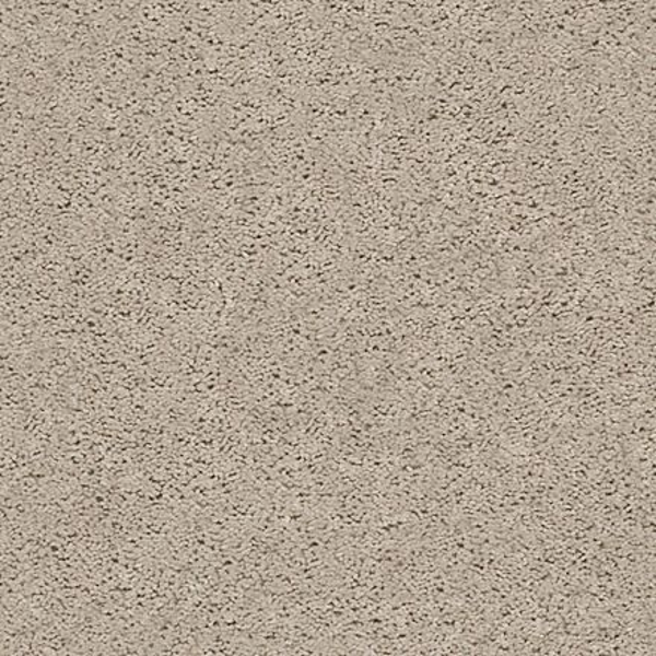 Shaw Floors Sensational Illusion SHAW