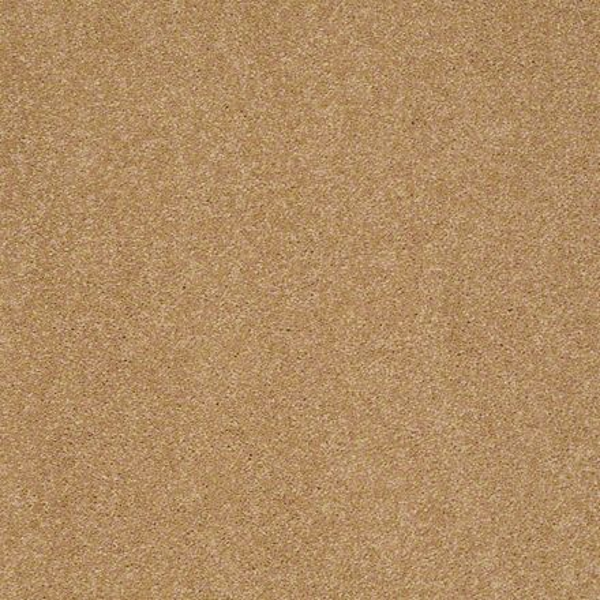 Shaw Floors Sandy Hollow Classic II Cork SHAW
