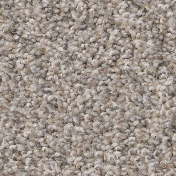 Shaw Floors Always Right II Sea Salt SHAW