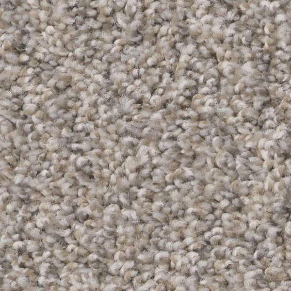 Shaw Floors Always Right I Sea Salt SHAW