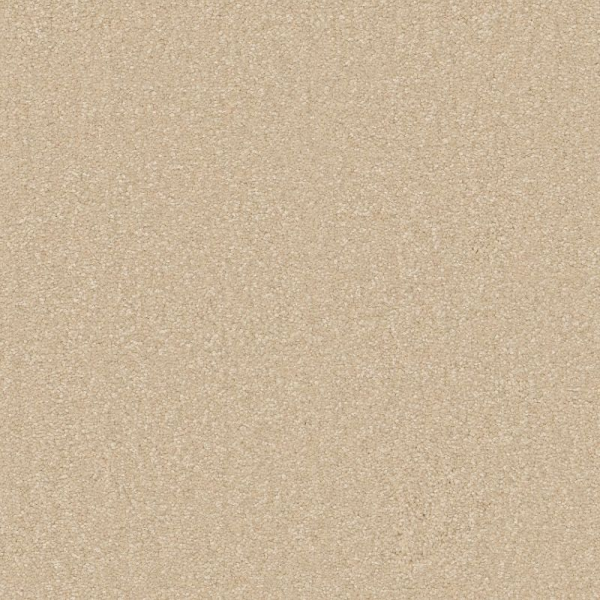 Shaw Floors Awaken Spirit I 12' Sunlight SHAW
