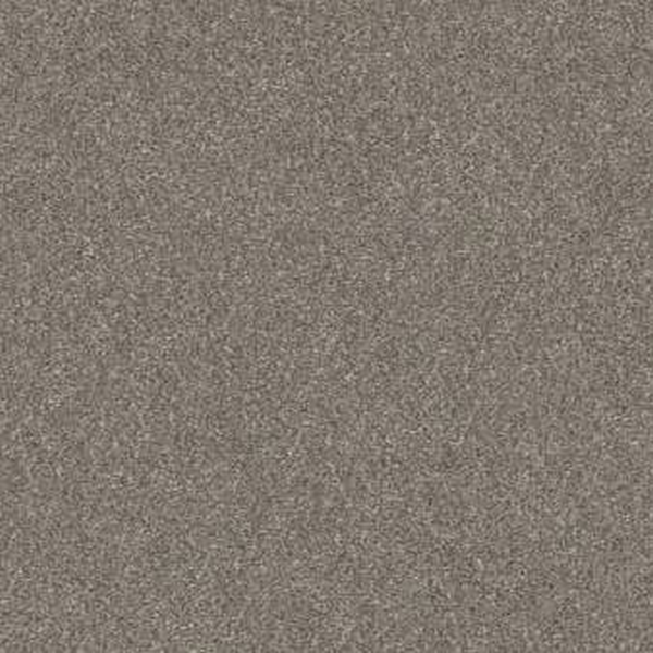 Shaw Floors Without Limits III Abalone SHAW