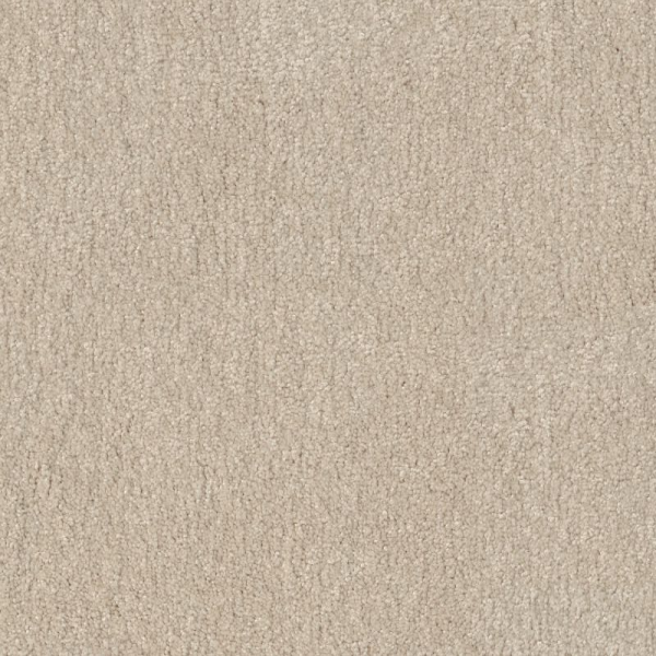 Shaw Floors Easy Spirit III 15 Bleached SHAW