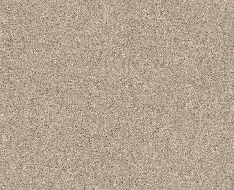 Shaw Floors Easy Spirit II 12 Dreamy SHAW