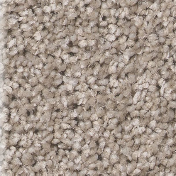 Shaw Floors Affirmation I Sculptor SHAW