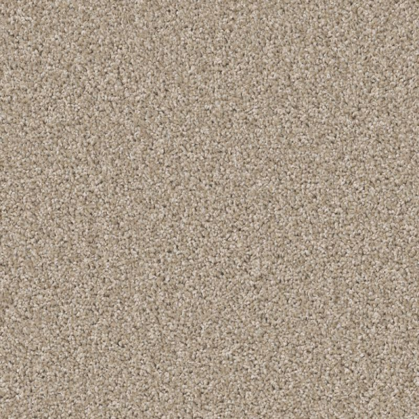 Shaw Floors Affirmation I Loft Light SHAW